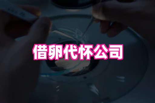 深圳助孕网站 1