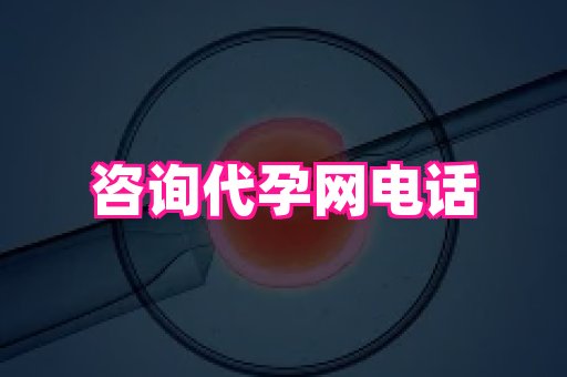 深圳助孕网站 3