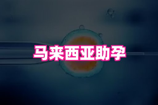 深圳助孕网站 4